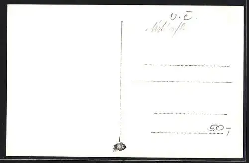 AK Pastviny-Nekor, Die Talsperre, Motive vom Stausee, Brücken