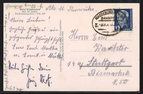 AK Stecklenberg /Harz, Hotel Waldfrieden v. M. Stertz, Gartenbereich