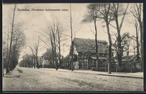 AK Berlin-Spandau, Forsthaus Schönwalder-Allee, Strassenpartie