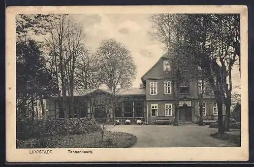 AK Lippstadt, Restaurant Tannenbaum v. Gust. Schwetasch