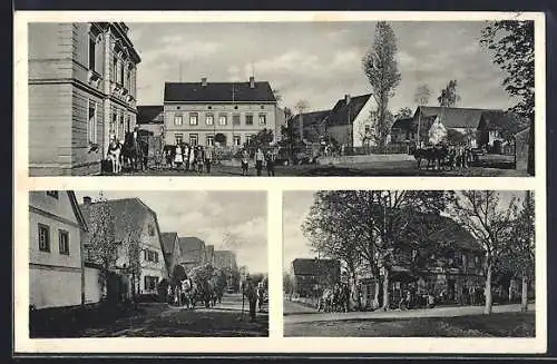 AK Pausitz / Mulde, Gasthaus Pausitz, Strassenpartie, Ortsansicht