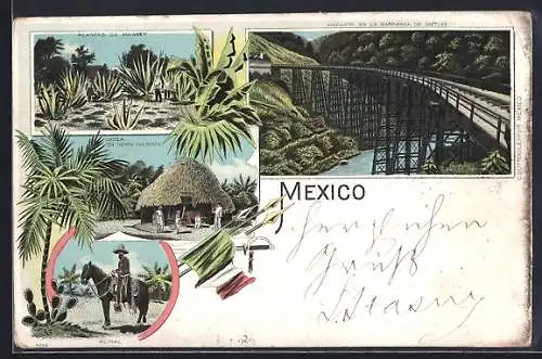 Lithographie Barranca de Metlac, Blick auf die Eisenbahnbrücke, Choza en Tierra Caliente