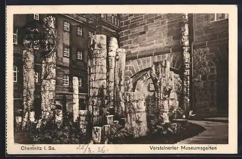AK Chemnitz i. Sa., Versteinerter Museumsgarten