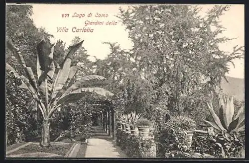 AK Lago di Como, Giardini della Villa Carlotta