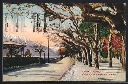 AK Cadenabbia /Lago di Como, Viale dei platani