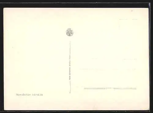 AK Rapallo, Panorama