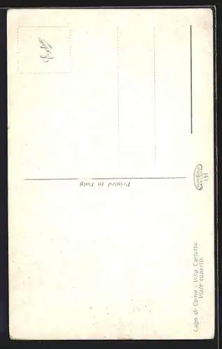 AK Tremezzo /Lago di Como, Villa Carlotta, Viale coperto