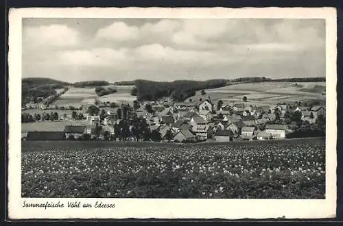 AK Vöhl am Edersee, Totalansicht vom Feld aus