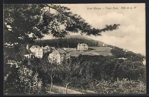 AK Drei Ähren i. Els., Ortsansicht mit Hotel Notre Dame v. Anton Müller