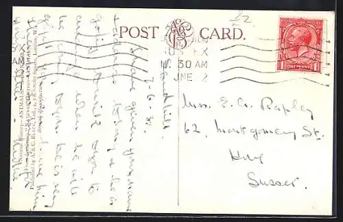 AK Zähnefletschender Grizzly in freier Wildbahn