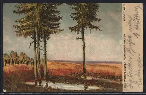 Künstler-AK S.Wencke: Worpswede, Heidetümpel, Tannenbäume