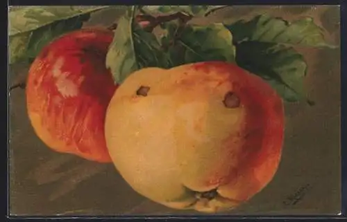 Künstler-AK Catharina Klein: Reife Äpfel am Zweig