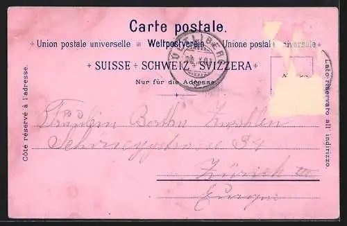 Lithographie Zürich, Restaurant-Hotel Annaburg und Panoramablick