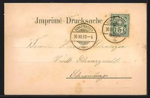 AK Rheinfall, Fernblick