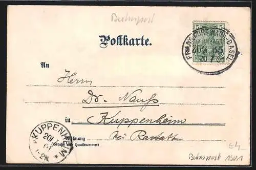 Künstler-AK Carl Münch: Karlsruhe, Palais Prinz Max.