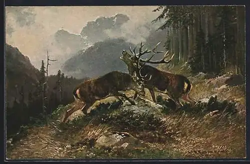 Künstler-AK M. Müller jun.: Kämpfende Hirsche während der Balzzeit im Gebirge