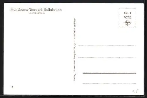 AK München, Löwenfamilie im Tierpark Hellabrunn