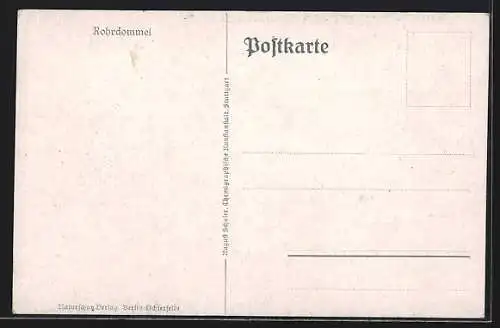 AK Rohrdommel im Schilf