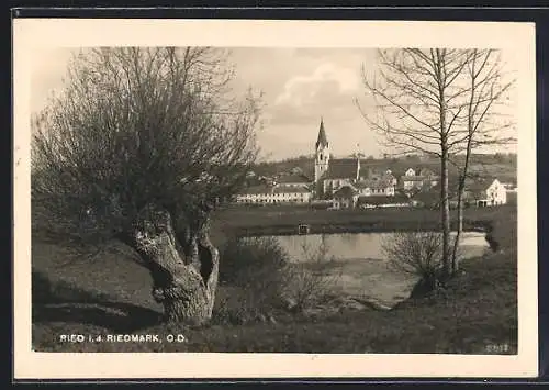 AK Ried i. d. Riedmark, Ortsansicht mit Teich