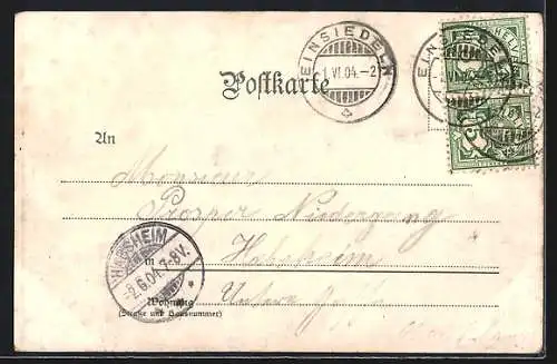 Künstler-AK Einsiedeln, Kloster und Flecken von der Nordseite, Strasse zur Ortschaft
