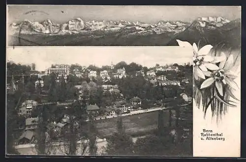 AK Bern, Rabbenthal und Altenberg, Bergpanorama mit Edelweiss