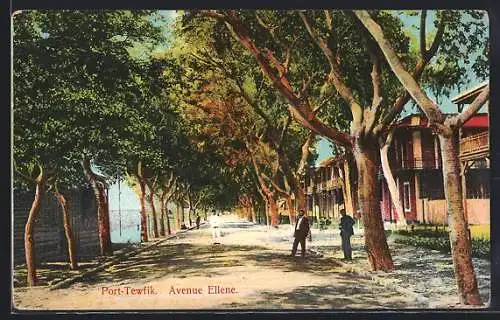 AK Suez, Port-Tewfik, Avenue Ellene