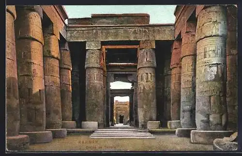 AK Karnak, Entree de Temples