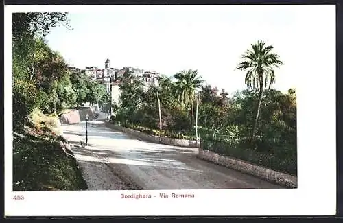 AK Bordighera, Palmenpartie Via Romana