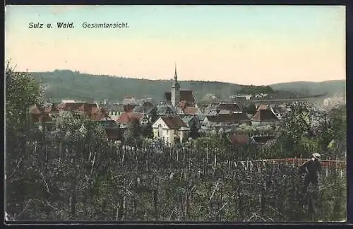 AK Sulz unterm Wald, Mann mit Hut am Ortsrand