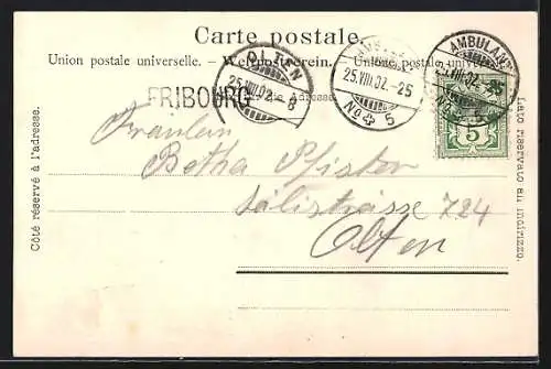 AK Fribourg, Vue panoramique