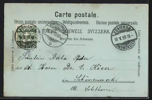 Mondschein-Lithographie Zürich, Alpenquai mit Löwendenkmal