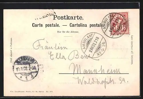 AK Walensee, Teilansicht mit Bergen