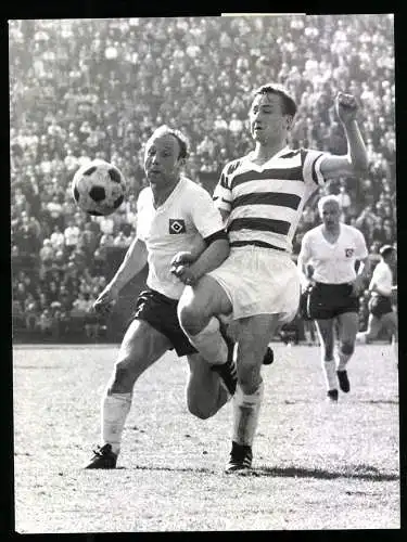 Fotografie Fussball-Bundesliga, Hamburger SV vs. MSV Duisburg 2:0, HSV Stürmer Uwe Seeler im Zweikampf mit Bella 1966