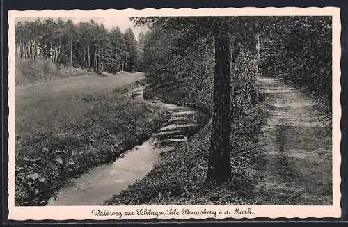 AK Strausberg i. d. Mark, Waldweg zum Gasthaus Schlagmühle