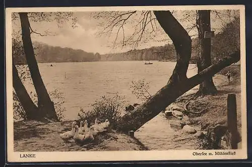 AK Lanke, Obersee mit Mühlenfliess