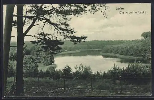 AK Wandlitz, Krumme Lanke