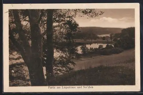 AK Liepnitzsee, Panorama mit See`chen