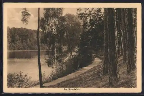 AK Altlandsberg, Ihlandsee, Panorama mit Waldweg