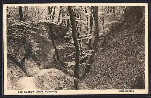 AK Buckow /Märk. Schweiz, Silberkehle