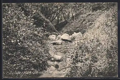 AK Buckow /Märk. Schweiz, Wolfsschlucht