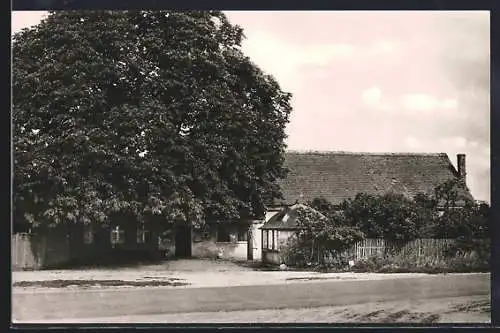 AK Schönfeld / Kamern, Gasthaus mit Strassenpartie