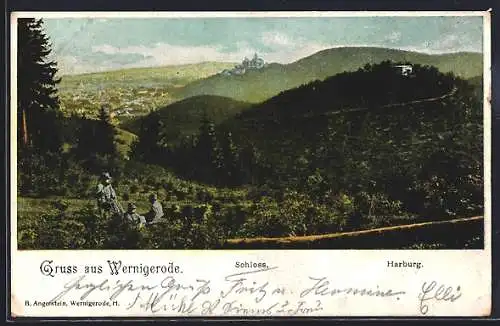 AK Wernigerode, Ortsansicht mit Schloss und Harburg