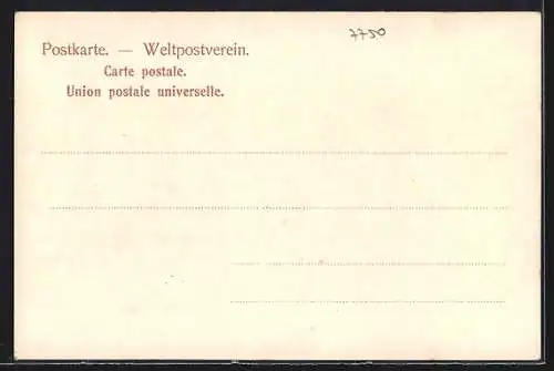 AK Mainau, Dampfer auf dem Bodensee