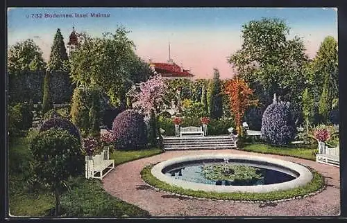 AK Insel Mainau /Bodensee, Parkpartie mit Teich