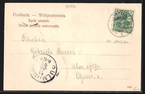 AK Mainau, Uferpartie mit Schloss