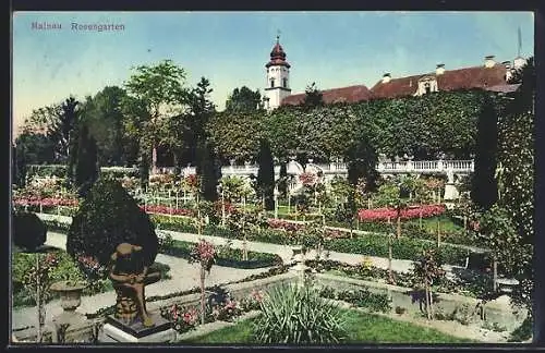 AK Mainau, Partie im Rosengarten
