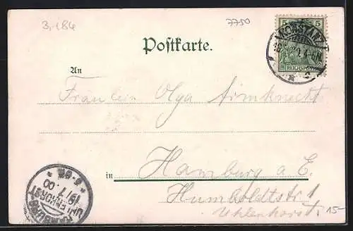 AK Insel Mainau, Ortsansicht, Passepartout