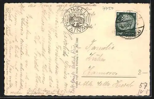 AK Mainau /Bodensee, Palmenhain