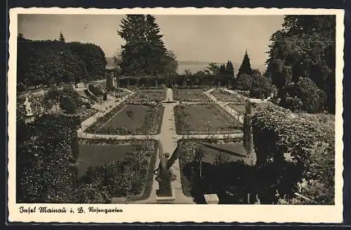 AK Insel Mainau i. B., Rosengarten
