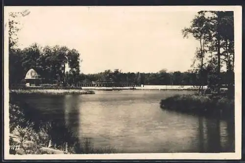 AK Berlin-Charlottenburg, Volkspark Jungfernheide, Ruder-und Badeteich